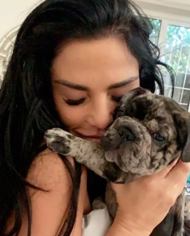 Katie Price and her family were devastated today after Princess's puppy Rolo died in a tragic accident. The 42-year-old reality star bought her daughter the adorable dog for her 13th birthday earlier this month.