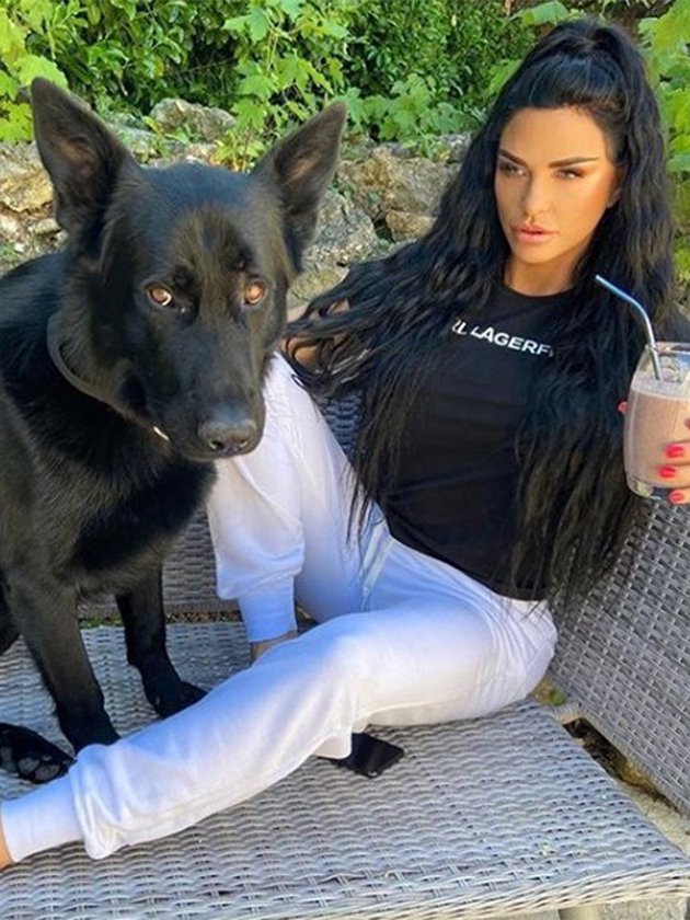 Katie Price adopts another dog despite petition and deaths of previous pets